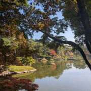 ヒメ日記 2025/11/21 13:59 投稿 さゆり エレガンス(広島)