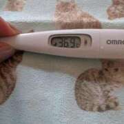 ヒメ日記 2026/02/28 08:08 投稿 さゆり エレガンス(広島)