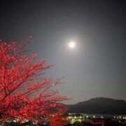 ヒメ日記 2026/04/03 08:59 投稿 さゆり エレガンス(広島)