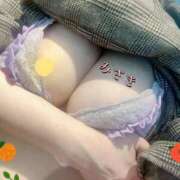 ヒメ日記 2025/03/22 15:57 投稿 みさき 奥様メモリアル