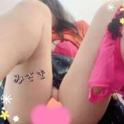 ヒメ日記 2025/04/26 09:33 投稿 みさき 奥様メモリアル