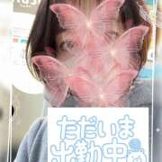 ヒメ日記 2025/11/29 09:06 投稿 たまき 熟女デリヘル 女神の極み