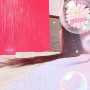 ヒメ日記 2025/09/04 08:26 投稿 ゆな メイドde本舗