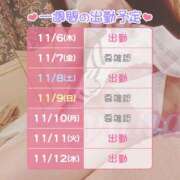 ヒメ日記 2025/11/07 05:28 投稿 ゆな メイドde本舗