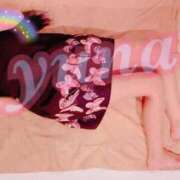 ヒメ日記 2026/02/14 06:37 投稿 ゆな メイドde本舗