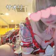 ヒメ日記 2024/12/12 16:49 投稿 サオリ ベガス