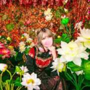 ヒメ日記 2025/01/31 13:55 投稿 サオリ ベガス