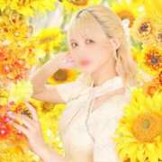 ヒメ日記 2025/07/19 00:03 投稿 サオリ ベガス