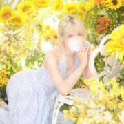 ヒメ日記 2025/07/25 22:42 投稿 サオリ ベガス