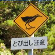 ヒメ日記 2025/01/30 06:45 投稿 野中 美優紀 30代40代50代と遊ぶなら博多人妻専科24時