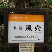 ヒメ日記 2025/07/31 07:39 投稿 野中 美優紀 30代40代50代と遊ぶなら博多人妻専科24時