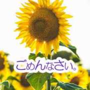 ヒメ日記 2025/08/09 09:55 投稿 野中 美優紀 30代40代50代と遊ぶなら博多人妻専科24時