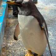 ヒメ日記 2025/08/28 22:14 投稿 野中 美優紀 30代40代50代と遊ぶなら博多人妻専科24時