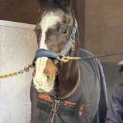 ヒメ日記 2025/10/23 13:36 投稿 野中 美優紀 30代40代50代と遊ぶなら博多人妻専科24時