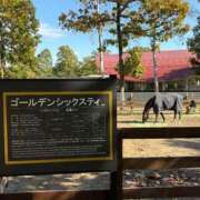 ヒメ日記 2025/10/31 21:40 投稿 野中 美優紀 30代40代50代と遊ぶなら博多人妻専科24時