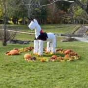 ヒメ日記 2025/10/31 22:01 投稿 野中 美優紀 30代40代50代と遊ぶなら博多人妻専科24時