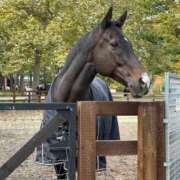 ヒメ日記 2025/11/16 11:35 投稿 野中 美優紀 30代40代50代と遊ぶなら博多人妻専科24時