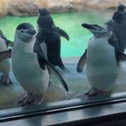 ヒメ日記 2025/12/31 14:20 投稿 野中 美優紀 30代40代50代と遊ぶなら博多人妻専科24時