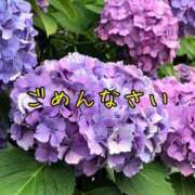 ヒメ日記 2026/06/25 11:01 投稿 野中 美優紀 30代40代50代と遊ぶなら博多人妻専科24時
