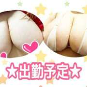 ヒメ日記 2025/02/07 22:27 投稿 ともえ ぷるりんクエスト上野浅草鶯谷秋葉原デリヘル王国