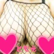 ヒメ日記 2025/04/28 06:18 投稿 ともえ ぷるりんクエスト上野浅草鶯谷秋葉原デリヘル王国