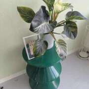 ヒメ日記 2025/02/19 12:44 投稿 みな 熟女の風俗最終章 仙台店