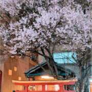 ヒメ日記 2025/03/29 12:05 投稿 みな 熟女の風俗最終章 仙台店