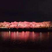 ヒメ日記 2025/04/14 16:04 投稿 みな 熟女の風俗最終章 仙台店