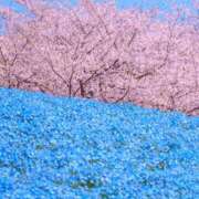 ヒメ日記 2025/04/15 10:54 投稿 みな 熟女の風俗最終章 仙台店