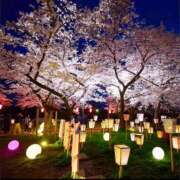 ヒメ日記 2025/04/25 11:04 投稿 みな 熟女の風俗最終章 仙台店