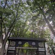 ヒメ日記 2025/05/13 15:15 投稿 みな 熟女の風俗最終章 仙台店