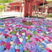 ヒメ日記 2025/06/06 10:54 投稿 みな 熟女の風俗最終章 仙台店