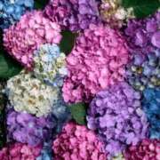 ヒメ日記 2025/07/14 17:05 投稿 みな 熟女の風俗最終章 仙台店