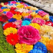 ヒメ日記 2025/07/17 04:04 投稿 みな 熟女の風俗最終章 仙台店