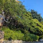 ヒメ日記 2025/07/24 17:20 投稿 みな 熟女の風俗最終章 仙台店