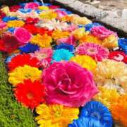 ヒメ日記 2025/07/25 20:39 投稿 みな 熟女の風俗最終章 仙台店