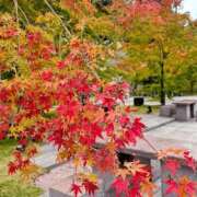 ヒメ日記 2025/09/30 10:29 投稿 みな 熟女の風俗最終章 仙台店