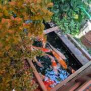 ヒメ日記 2025/11/04 10:56 投稿 みな 熟女の風俗最終章 仙台店