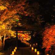 ヒメ日記 2025/11/10 16:24 投稿 みな 熟女の風俗最終章 仙台店