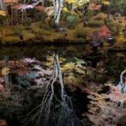 ヒメ日記 2025/11/20 00:24 投稿 みな 熟女の風俗最終章 仙台店