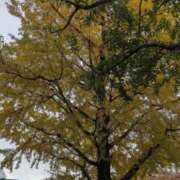 ヒメ日記 2025/11/21 10:24 投稿 みな 熟女の風俗最終章 仙台店