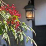 ヒメ日記 2025/11/25 09:10 投稿 みな 熟女の風俗最終章 仙台店