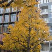 ヒメ日記 2025/11/25 12:18 投稿 みな 熟女の風俗最終章 仙台店