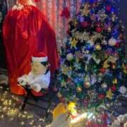 ヒメ日記 2025/11/27 22:16 投稿 みな 熟女の風俗最終章 仙台店