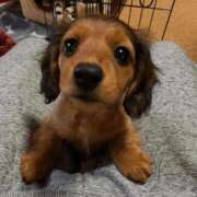 ヒメ日記 2025/12/01 19:44 投稿 みな 熟女の風俗最終章 仙台店