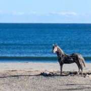 ヒメ日記 2026/01/28 14:55 投稿 みな 熟女の風俗最終章 仙台店