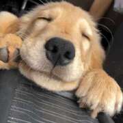 ヒメ日記 2026/02/12 17:14 投稿 みな 熟女の風俗最終章 仙台店