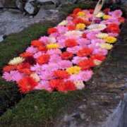 ヒメ日記 2026/02/14 10:21 投稿 みな 熟女の風俗最終章 仙台店