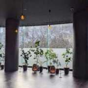 ヒメ日記 2026/02/24 19:44 投稿 みな 熟女の風俗最終章 仙台店