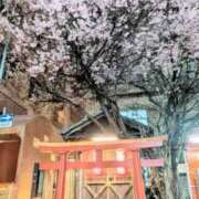 ヒメ日記 2026/04/03 19:34 投稿 みな 熟女の風俗最終章 仙台店